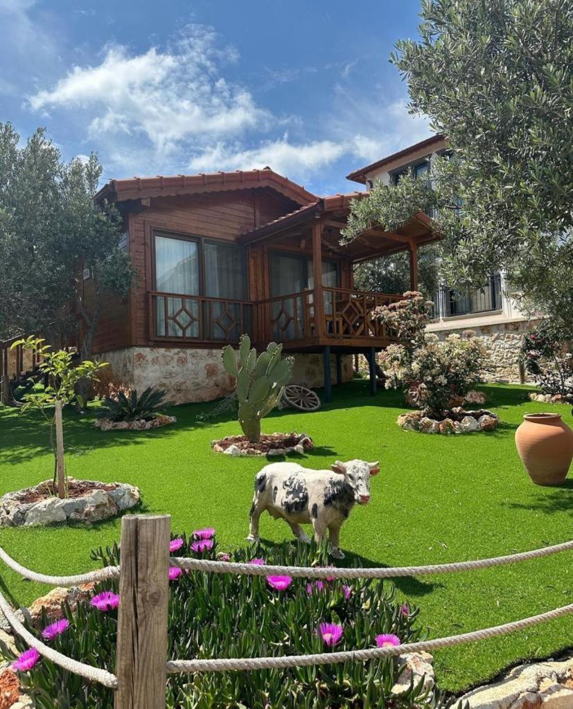 קס Doganin Ruhu Hotel & Bungalow מראה חיצוני תמונה