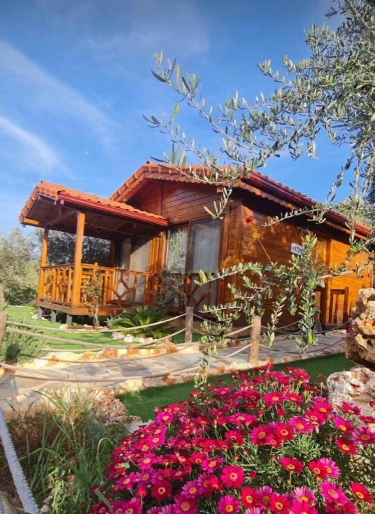 קס Doganin Ruhu Hotel & Bungalow מראה חיצוני תמונה