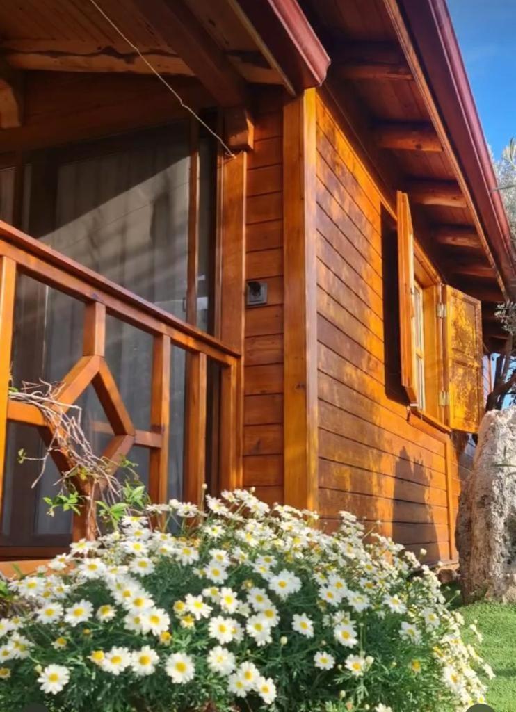 קס Doganin Ruhu Hotel & Bungalow מראה חיצוני תמונה