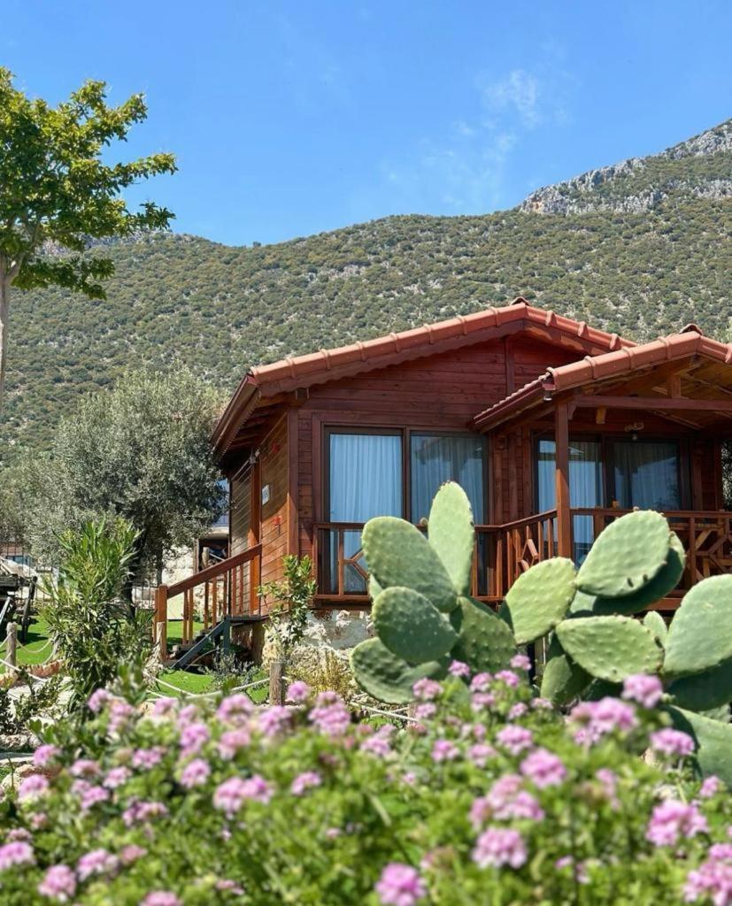 קס Doganin Ruhu Hotel & Bungalow מראה חיצוני תמונה